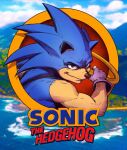  1boy animal_nose blue_eyes blue_sky commentary copyright_name dave_rapoza english_commentary furry furry_male gloves highres jewelry male_focus mountain muscular muscular_male ocean pixelated ring sky smile solo sonic_(series) sonic_the_hedgehog upper_body white_gloves 