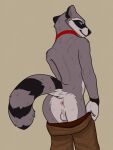 3:4 anthro anus balls bottomwear clothing genitals hi_res looking_at_viewer looking_back male mammal pants presenting presenting_anus procyonid raccoon shdwk solo undressing