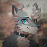 1:1 2024 anthro artist_name biped black_collar blue_eyes blurred_background bust_portrait canid canine cheek_tuft collar collar_only countershade_face countershade_fur countershade_torso countershading digital_media_(artwork) eyebrows eyelashes facial_tuft female fur grey_body grey_fur hair head_tuft hi_res icon mammal marblesoda neck_tuft nude portrait shaded snout solo tuft white_body white_fur white_hair