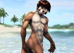  anthro beach facial_hair flaccid goatee humanoid_penis kinojaggernov looking_at_viewer lutrine male mammal mustelid outside penis seaside solo standing uncut 