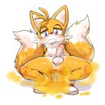  2_tails anthro anus balls blush bodily_fluids canid canine crouching fart fart_cloud fart_fetish fox foxtanukiboy genital_fluids genitals half-closed_eyes hi_res male mammal miles_prower multi_tail narrowed_eyes peeing penis sega solo sonic_the_hedgehog_(series) squatting_position tail urine watersports young 
