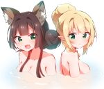  2girls animal_ear_fluff animal_ears black_hair blonde_hair braid breasts cleavage collarbone commentary_request copyright_request green_eyes hair_bun hair_over_shoulder highres long_hair medium_breasts multiple_girls nude nyaa_(nnekoron) parted_lips partially_submerged pointy_ears single_side_bun upper_body white_background 