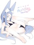  1girl animal_ear_fluff animal_ears ass bikini black_bikini blue_hair breasts fox_ears fox_girl fox_tail green_eyes highres koyansuee koyansuee-chan long_hair navel original sidelocks simple_background small_breasts spread_legs swimsuit tail tears tongue tongue_out white_background 