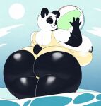 2021 angstrom anthro areola areola_slip ball beach_ball bear bikini black_areola black_body black_fur clothing digital_media_(artwork) female fur furgonomics giant_panda hi_res holding_ball holding_object inflatable mammal nameless_character partially_submerged rear_view sky smile solo swimwear tail white_body white_fur yellow_bikini yellow_clothing yellow_swimwear
