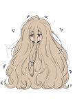  1girl absurdres blush_stickers brown_eyes brown_hair f.w.zholic hair_between_eyes highres long_hair sense_(sousou_no_frieren) simple_background solo sousou_no_frieren very_long_hair white_background 