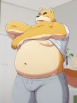  2023 anthro belly big_belly blush bottomwear bulge canid canine canis clothed clothing clothing_lift domestic_dog hi_res kemono kick_(artist) male mammal moobs navel nipples overweight overweight_male pants shirt shirt_lift solo topwear 