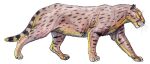  2015 brown_body brown_fur cc-by-sa creative_commons digitigrade dinofelis dinofelis_barlowi dmitry_bogdanov felid feral full-length_portrait fur hi_res mammal markings paws portrait ring_(marking) ringed_tail saber-toothed_tiger shaded side_view snout spots spotted_body spotted_fur striped_markings striped_tail stripes tail tail_markings walking whiskers yellow_markings 