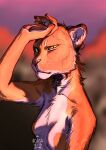  2018 anthro arm_tuft azuza blurred_background breasts bust_portrait cheek_tuft colored_sketch dated facial_tuft featureless_breasts felid female fur glistening glistening_eyes green_eyes heterochromia hi_res lion looking_at_viewer mammal mouth_closed narrowed_eyes neck_tuft no_sclera nude orange_body orange_fur pantherine portrait pupils red_nose signature sketch slit_pupils solo tuft white_body white_fur yellow_eyes 
