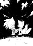 2boys animal_nose cloud cloudy_sky commentary commentary_request fox_boy fox_cub fox_tail from_behind full_body furry furry_male grass greyscale highres holding_hands misuta710 monochrome multiple_boys multiple_tails night night_sky outdoors shoes sky sonic_(series) sonic_the_hedgehog star_(sky) starry_sky tail tails_(sonic) two_tails 