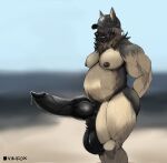  absurd_res animal_genitalia anthro balls big_balls big_penis canid canine clothing fully_sheathed genitals hair hat headgear headwear hi_res huge_balls hyper hyper_balls hyper_genitalia male mammal musclegut muscular nipples overweight pecs penis pubes sheath solo tagme thotfox vikifox 