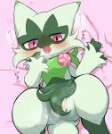  anthro barely_visible_genitalia barely_visible_pussy blush bodily_fluids female floragato generation_9_pokemon genital_fluids genitals green_body hi_res iede looking_at_viewer nintendo open_mouth pokemon pokemon_(species) purple_eyes pussy pussy_juice solo 