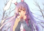  1girl absurdres adapted_costume animal_ears bangs bare_tree blush branch closed_mouth diving_penguin floating_hair hands_up highres jacket long_hair long_sleeves looking_at_viewer outdoors purple_hair rabbit_ears reisen_udongein_inaba scarf sleeves_past_wrists smile snow solo sweater touhou tree upper_body very_long_hair winter winter_clothes 