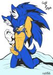  absurd_res anthro eulipotyphlan hedgehog hi_res male mammal mimy92sonadow sega solo sonic_the_hedgehog sonic_the_hedgehog_(series) 