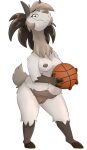  2023 3_fingers anthro ball basketball_(ball) breasts buckteeth camelid casual_nudity cloven_hooves female fingers front_view full-length_portrait fur genitals grey_body grey_fur grey_nipples hi_res holding_ball holding_object honeymono hooved_fingers hooves llama long_neck looking_at_viewer mammal nipples nude nude_anthro nude_female portrait pussy simple_background solo standing teeth white_background 