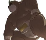  2023 anthro ashigara asian_clothing bear belly big_belly clothing east_asian_clothing japanese_clothing kemono lifewonders magumataishi male mammal mawashi moobs nipples overweight overweight_male simple_background solo sumo sumo_wrestler tokyo_afterschool_summoners 