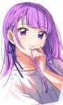  1girl braid closed_mouth copyright_request holding holding_hair long_hair looking_at_viewer purple_eyes purple_hair sekina shirt simple_background smile solo white_background white_shirt 