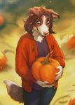  2022 anthro blue_eyes brown_body brown_fur brown_hair canid cheek_tuft clothed clothing dated facial_tuft female floppy_ears fur glistening glistening_eyes hair hi_res holding_pumpkin looking_aside lostgoose mammal pink_nose pink_tongue portrait purple_clothing purple_topwear red_clothing red_topwear signature simple_background smile solo standing three-quarter_portrait tongue topwear tuft white_body white_fur 