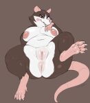  2023 anthro anus areola armello breasts digital_media_(artwork) female genitals griotte_(armello) hi_res mammal murid murine nipples nude pussy rat rodent simple_background slimefur solo spread_legs spreading 