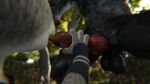  3d_(artwork) ambiguous_gender animal_genitalia animal_penis anthro balls black_body black_fur blender_(software) canid canine canine_penis canis clothed clothing digital_media_(artwork) disney duo fellatio fur genital_focus genitals grey_body grey_fur haferkraft hand_on_penis hi_res holding_penis interspecies judy_hopps knot lagomorph leporid licking male male/ambiguous mammal nature nature_background nude oral outside partially_clothed penile penis penis_lick predator/prey rabbit sex tongue tongue_out were werecanid werecanine werewolf werewolf_the_apocalypse wolf zootopia 