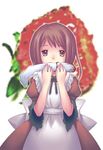  blood bow brown_eyes brown_hair cannibalism dress food fruit guro maid maid_apron solo strawberry 