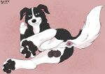  anatomically_correct anatomically_correct_anus anatomically_correct_genitalia animal_genitalia anus balls black_and_white_fur border_collie butt canid canine canis collie digital_media_(artwork) domestic_dog feet feral foot_focus genitals grin herding_dog hi_res hindpaw hyde3291 looking_at_viewer male mammal mr._pickles mr._pickles_(series) pastoral_dog pawpads paws sheath sheepdog smile solo 