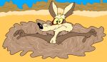  anthro blush bodily_fluids canid canine canis coyote desert hf6374ur37 hi_res looney_tunes male mammal peril quicksand sinking solo sweat warner_brothers wile_e._coyote 