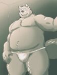  2023 anthro asian_clothing belly big_belly bulge canid canine canis clothing east_asian_clothing fundoshi hi_res humanoid_hands japanese_clothing kemono kick_(artist) male mammal moobs navel nipples overweight overweight_male solo underwear white_clothing white_fundoshi white_underwear wolf 