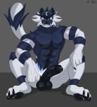  anthro balls charlieleobo digital_media_(artwork) erection feet felid fingers fur generation_7_pokemon genitals hi_res incineroar male male/male mammal muscular muscular_anthro muscular_male nintendo nipples nude penis pokemon pokemon_(species) simple_background smile solo 