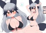  2girls alternate_costume armpits arms_up bangs bikini black_bikini black_hair blush breasts brown_eyes cellphone chibi chibi_inset cleavage collarbone commentary_request ezo_red_fox_(kemono_friends) fang fox_tail frown gradient_hair grey_hair groin hair_between_eyes highres kemono_friends large_breasts long_hair looking_at_viewer multicolored_hair multiple_girls multiple_views navel open_mouth phone ponytail ransusan silver_fox_(kemono_friends) simple_background sitting smartphone spoken_sweatdrop sweat sweatdrop swimsuit tail taking_picture translated tsurime two-tone_hair v-shaped_eyebrows wariza white_background 