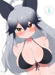  2girls alternate_costume bangs bikini black_bikini black_hair blush breasts brown_eyes chibi chibi_inset cleavage closed_mouth collarbone commentary_request ezo_red_fox_(kemono_friends) frown gradient_hair grey_hair hair_between_eyes highres kemono_friends large_breasts long_hair looking_at_viewer multicolored_hair multiple_girls navel ponytail ransusan silver_fox_(kemono_friends) simple_background solo_focus spoken_sweatdrop sweat sweatdrop swimsuit translated tsurime two-tone_hair upper_body v-shaped_eyebrows white_background 