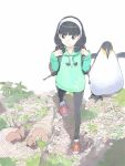  1girl akinbo_(hyouka_fuyou) bird black_hair black_pantyhose brown_eyes character_request dress green_sweater hairband hood hood_down hooded_sweater long_hair looking_to_the_side pantyhose penguin red_footwear solo squirrel sweater sweater_dress walking white_hairband 