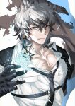  1boy animal_ear_fluff animal_ears arknights bangs bara black_gloves collarbone gloves grey_eyes grey_hair hair_between_eyes highres leopard_boy leopard_ears long_sleeves looking_at_viewer loose_necktie necktie partially_unbuttoned pectoral_cleavage pectorals sagami_jon scar scar_on_chest shirt silverash_(arknights) snowflakes upper_body white_hair white_shirt 