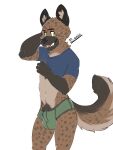  2023 3:4 absurd_res aggressive_retsuko anthro artist_name bastionshadowpaw black_ears black_eyebrows blue_clothing blue_shirt blue_topwear brown_body brown_fur brown_tail bulge clothed clothing clothing_lift eyebrows fur green_clothing green_underwear haida hi_res hyena male mammal open_mouth partially_clothed pubes pupils sanrio shirt shirt_lift solo tail teeth tongue topwear underwear 