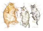  animal animal_focus blue_eyes cat closed_eyes commentary_request commission fat full_body green_eyes grey_cat looking_at_viewer lying multiple_cats nekomata_naomi on_back orange_cat original skeb_commission 