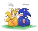  anthro anus backsack balls big_butt blue_body butt canid canine duo eulipotyphlan fox genitals hedgehog hi_res looking_back male mammal miles_prower pink_anus presenting presenting_hindquarters puffy_anus sega simple_background smile sonic_the_hedgehog sonic_the_hedgehog_(series) tacoghastly take_your_pick yellow_body 