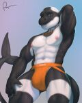  2023 abs akamai anthro black_arms black_body black_fingernails black_fingers black_hands black_legs black_tail blue_eyes cetacean clothed clothing dolphin hand_on_leg hand_on_thigh hi_res jockstrap jockstrap_only looking_at_viewer male mammal marine nipples oceanic_dolphin orange_clothing orange_jockstrap orange_underwear orca pecs pink_nipples pose quads rov signature tail teeth toothed_whale topless underwear underwear_only white_legs white_tail 