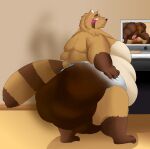  anthro balls belly big_belly blush bodily_fluids butt computer diaper feces genitals hi_res male mammal messy_diaper moobs obese overweight overweight_male penis pooping procyonid raccoon scat senakun0530 soiling solo sweat 