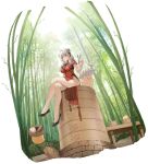  1girl animal artist_request azur_lane bamboo bamboo_forest bamboo_steamer bird breasts brown_eyes bun_cover china_dress chinese_clothes chopsticks crossed_legs day double_bun dress dumpling food forest full_body hair_bun highres holding holding_chopsticks jiaozi large_breasts long_hair looking_at_viewer luetzow_(azur_lane) luetzow_(steaming_hot_treat)_(azur_lane) manjuu_(azur_lane) nature no_panties official_art outdoors red_dress shoes short_sleeves simple_background sitting white_hair 