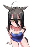  absurdres alternate_costume animal_ears bare_arms bare_legs bare_shoulders black_hair blue_one-piece_swimsuit blush collarbone commentary_request earrings from_above hair_between_eyes highres horse_ears horse_girl horse_tail jewelry kakuteru_sudachi long_hair looking_at_viewer manhattan_cafe_(umamusume) one-piece_swimsuit school_swimsuit single_earring sitting swimsuit tail umamusume wet yellow_eyes 