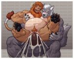  abdominal_bulge absurd_res andromorph andromorph/male andromorph_penetrated anthro anthro_on_anthro anthro_penetrated anthro_penetrating anthro_penetrating_anthro areola balls belly big_balls big_penis black_pawpads bodily_fluids canid canine canis claws clitoris countershade_torso countershading cum cum_in_pussy cum_inside cumshot duo ejaculation felid genital_fluids genitals hi_res huge_balls huge_penis hyper hyper_balls hyper_genitalia hyper_penis intersex intersex/male intersex_penetrated interspecies lion male male_penetrating male_penetrating_andromorph male_penetrating_intersex mammal mane muscular muscular_anthro muscular_male navel nipples nunudodo pantherine pawpads penetration penile penile_penetration penis penis_in_pussy pussy sex tail tail_tuft tongue tongue_out trans_(lore) trans_man_(lore) tuft vaginal vaginal_penetration vein veiny_penis wolf 