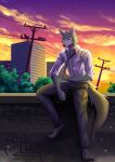  4_toes 5_fingers absurd_res anthro beastars canid canine canis city city_background clothing echoeclair feet fingers fur grey_body grey_fur hi_res holding_necktie legoshi_(beastars) looking_at_viewer male mammal necktie shirt sitting solo sunset toes topwear white_clothing white_shirt white_topwear wolf 