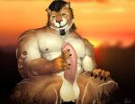  amber_eyes anthro big_penis erection felid genitals male mammal muscular muscular_male pantherine penis solo tiger zomacaius 