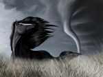  ambiguous_gender black_body black_hair black_mane black_tail brown_eyes clyde_(wasen) digital_media_(artwork) equid equine facial_markings feral hair head_markings hi_res horse kattbutik looking_back looking_up mammal mane markings solo tail tornado 