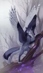  4_toes ambiguous_gender canid canine claws day detailed_background feathered_wings feathers feet female feral forest fur grey_body grey_fur hi_res hybrid mammal orphen-sirius outside paws plant purple_body purple_fur solo toes tree wings 