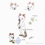  &lt;3 angry anthro bangle cute_expression cute_eyes didelphid female growling hi_res jewelry mammal marsupial model_sheet patreon portal reference_image shy solo text yordraw yordraw_ocs 
