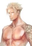  1boy 6_(brm6) abs bangs bara beowulf_(fate) blonde_hair facial_hair fate/grand_order fate_(series) goatee large_pectorals looking_at_viewer male_focus mature_male muscular muscular_male nipples no_scar parted_lips pectorals red_eyes scar scar_on_chest short_hair solo stomach topless_male upper_body 