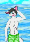  absurd_res andromorph andromorph/male anthro beach bottomwear canid canine canis clothed clothing digital_media_(artwork) ear_piercing ear_ring feral fur hair hi_res humanoid intersex intersex/male looking_at_viewer male mammal open_mouth outside partially_clothed piercing ric ring_piercing scar seaside sky smile solo swimwear tail thebonebutterfly water wolf 