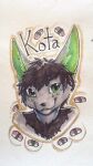  9:16 anthro canid canine fennec food fox hair heterochromia kota_(kotafen) male mammal markings omtay simple_background solo spots sushi 