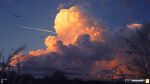  animal artist_logo bird blue_sky cloud contrail evening highres nature no_humans original outdoors paper_airplane scenery sky tree yucong_tang 