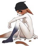  1girl animal_ears animal_feet animal_hands animal_nose arm_on_knee barefoot beanie black_fur black_headwear blush body_fur breasts brown_fur cat_ears cat_girl cat_tail claws commentary completely_nude ears_down english_commentary feet fortnite from_side furry furry_female grin half-closed_eyes happy hat highres knee_up legs looking_at_viewer meow_skulls_(fortnite) multicolored_fur navel nipple_piercing nipples nude orange_eyes pawpads piercing profile shell_casing simple_background sitting small_breasts smile solo tail teeth thighs toes wagadraws white_background white_fur 